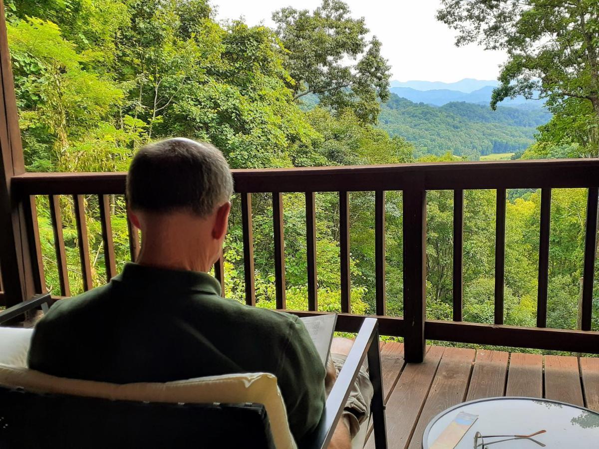 Swiss Treetops Cabin Easy To Asheville With Fast Wifi And Great View מראה חיצוני תמונה